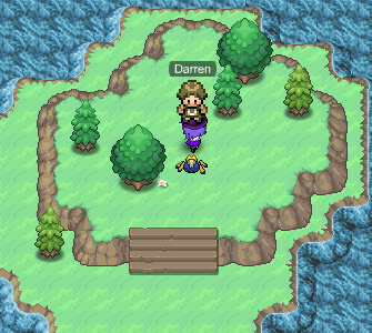 Npc que entrega o HM