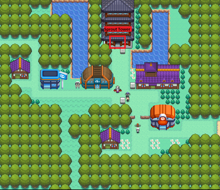 Violet City