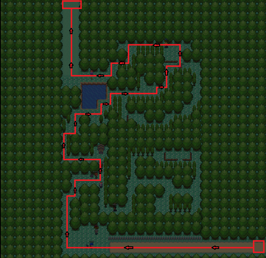 Ilex Forest