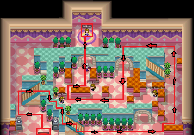 Gym Goldenrod