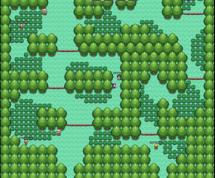 Petalburg Woods