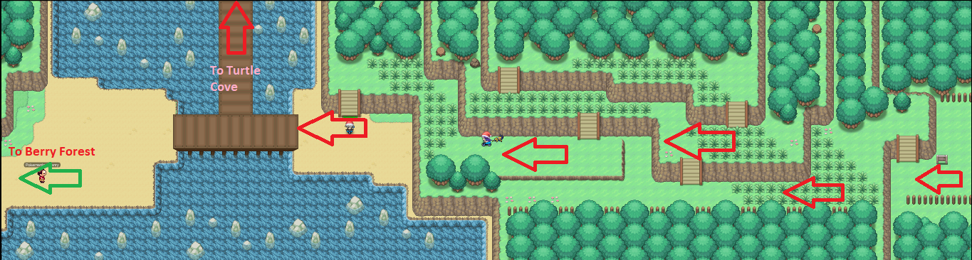 Caminho da Berry Forest